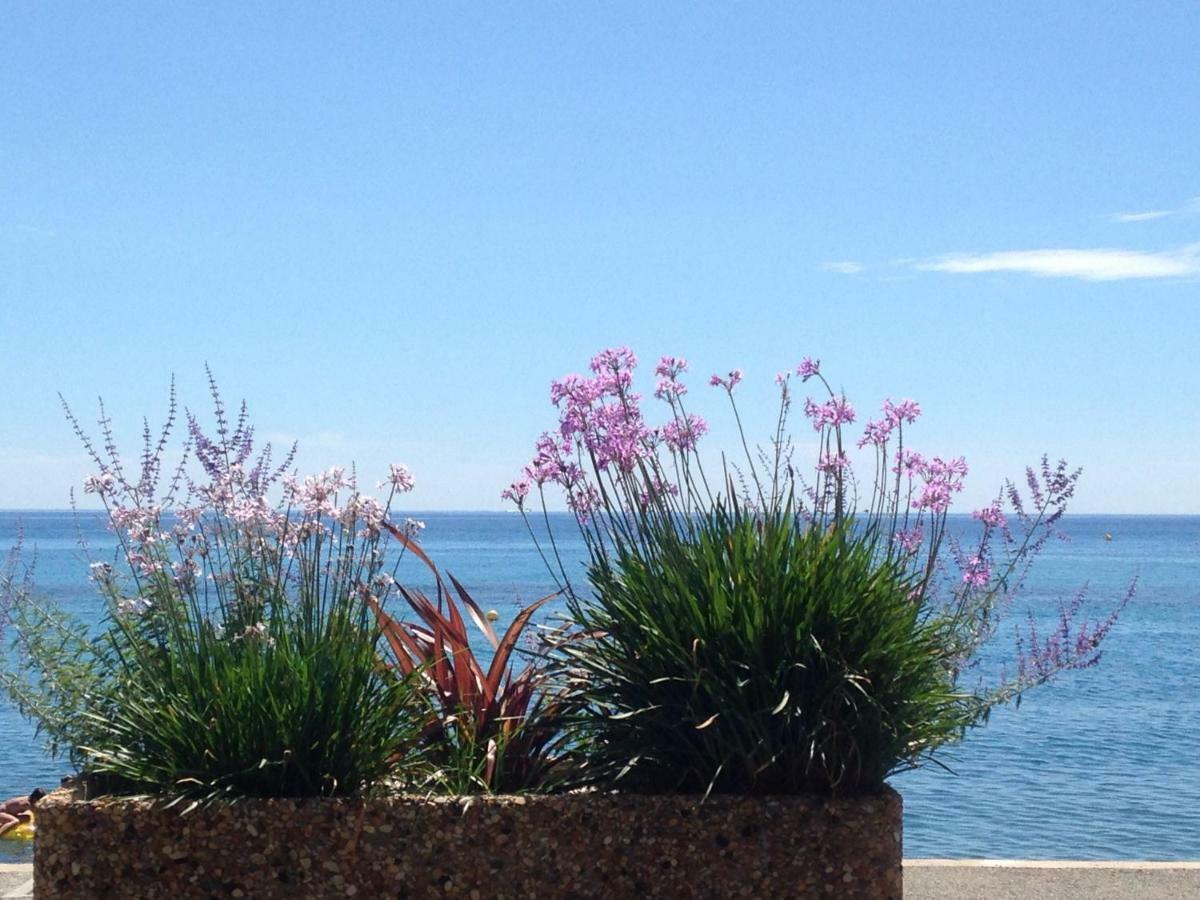 Les Caroubiers Apartment Roquebrune-Cap-Martin Luaran gambar